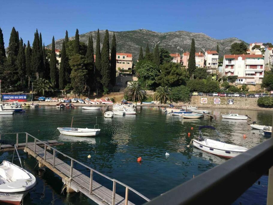 Lovely Split Level Apartment With Sea View, Pool, Free Parking And Wifi Cavtat Dış mekan fotoğraf