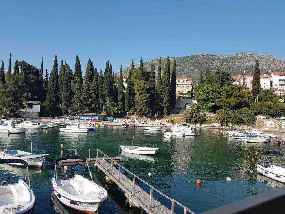 Lovely Split Level Apartment With Sea View, Pool, Free Parking And Wifi Cavtat Dış mekan fotoğraf